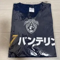 横浜ビーコルセアーズ　Tシャツ　Mサイズ