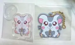 こうしくん セット