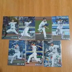 プロ野球チップス2025千葉ロッテマリーンズレギュラーカード7枚セット