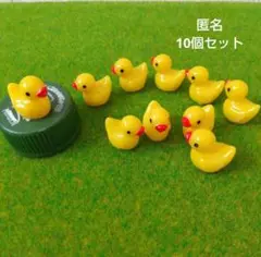 ミニチュア（ひよこ）10個セット
