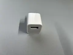 iPhone 純正 充電プラグ （タイプA）