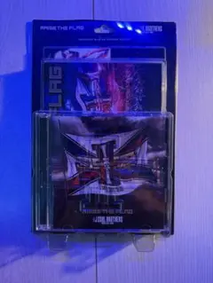 RAISE THE FLAG 三代目J SOUL BROTHERS DVD