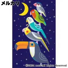 原画「小鳥ブレーメン　宝石の夜」イラスト/アート/絵画/インコ/文鳥/オオハシ
