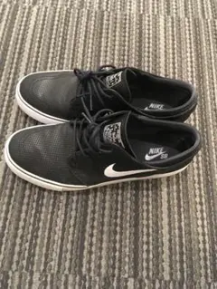 Item thumbnail for item a37cef99-7991-42e7-afde-8904918e6e41