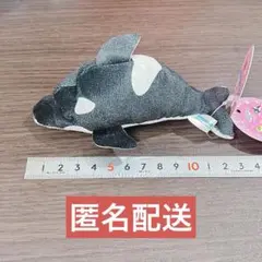 マリンパーク キラキラぬいぐるみミニ シャチ ぬいぐるみ