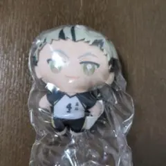 ハイキュー　かぷっこふれんず
