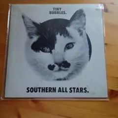 TINY BUBBLES / SOUTHERN ALL STARS