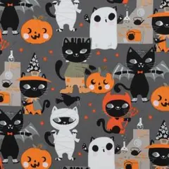 輸入生地　アレキサンダーヘンリー(Haunted House)