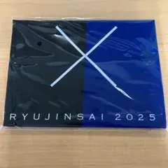 中日ドラゴンズRYUJINSAI 2025 応援グッズ