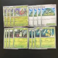 ポケモンカードメガシンフォニア・メガニウム おいしげる活力の森進化ライン１６枚