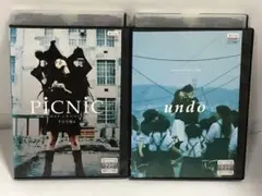 岩井俊二監督作品 DVD 2本セット　PiCNiCピクニック　undo