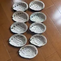 匿名即日発送　貝殻 9個セット 虹色の光沢
