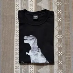 stussy BIG & MEATY TEE PIGMENT DYED