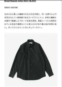 Graphpaper Broad Regular Collar Shirt 黒