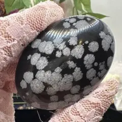 スノーオブシディアンパームNo.1902