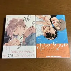 星を掴まえる／雨のちマル／BLコミック2冊セット