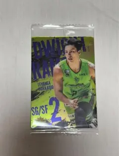 【ツインウエハース】Bリーグ日本代表 ドワイト・ラモス