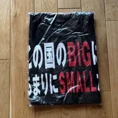 この国のBIGはあまりにSMALL過ぎる　Tシャツ　サイズM