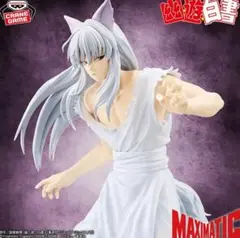幽☆遊☆白書 MAXIMATIC YOUKO KURAMA
