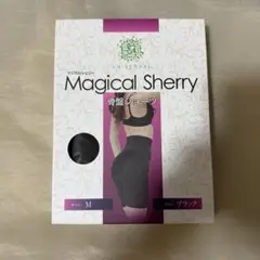 Magical Sherry 骨盤ショーツ M ブラック