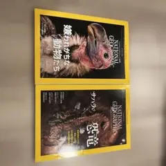 ナショナルジオグラフィック　2025年7月号、8月号　2冊セット