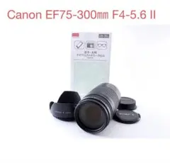 Item thumbnail for item 0da32bb3-6897-458e-94d0-897024a8ca15