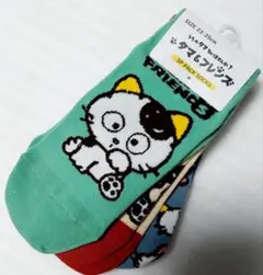 うちのタマ知りませんか？ タマ＆フレンズ ソックス 23-25cm 3足組 猫柄