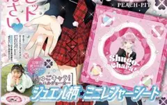 193 なかよし 5月号 付録 レジャーシート ジュエル