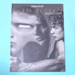 セール！　希少 洋書『デュアン・マイケルズ 写真展』図録　モントリオール美術館 ドゥェイン・マイケルズ 写真展 Duane Michals Exhibition