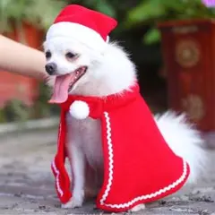 Item thumbnail for item dfb4217b-49e2-445c-9233-beb3a53292ec