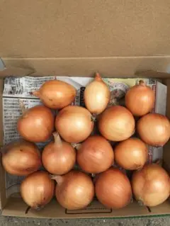 淡路島産完熟ミニ玉ねぎ