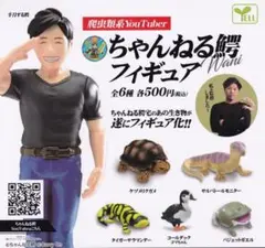 ⑅ちゃんねる鰐さんTシャツ&ステッカーSET⑅ ちゃんねる鰐」が初のオフィシャルグッズを販売します！ | Kiii