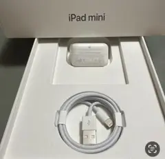 iPhone純正イヤホン付属品　10w充電器セット