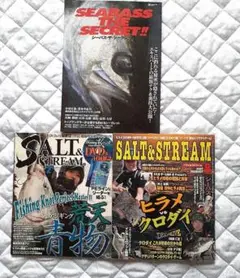 【283】釣り雑誌セット SEABASS & SALT & STREAM