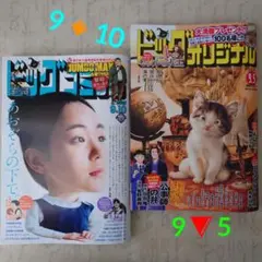 ビッグコミック9月10日・ビッグオリジナル9月5日 2025年 〚最新号〛2冊