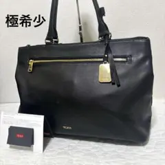 【極希少】TUMI トゥミ シドニー　ビジネスバッグ　トートバッグ　レザー