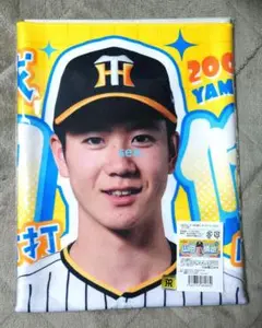 山田脩也 TORACO グッズ トラコデー 缶バッジ タオル アクキー 山田脩也 TORACO グッズ トラコデー 缶バッジ タオル アクキー