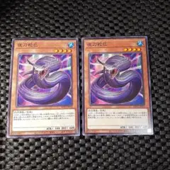 遊戯王 夜刀蛇巳　2枚セット