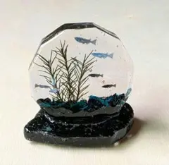 絶景シリーズ〜シックモダン水槽〜