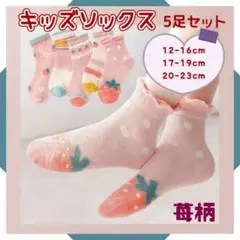 Item thumbnail for item 20fc4a4b-c822-41d8-b915-5faf34677d11