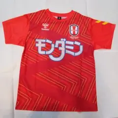 【まとめ売り】INAC神戸レオネッサ 田中陽子 ユニホーム2着＋グッズ まとめ売り】INAC神戸レオネッサ 田中陽子 ユニホーム2着＋グッズ