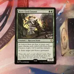 鋭い目の管理者/Keen-Eyed Curator 英語 MTG
