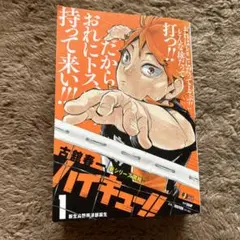 ハイキュー！！リミックス版