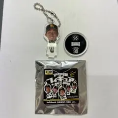 ソフトバンクホークス　野村勇選手