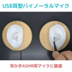 iPhoneで直接使える耳型バイノーラルマイク｜asmrの録音、配信に最適