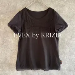 EVEX by KRIZIA（エヴェックスバイクリツィア）袖シフォン Tシャツ