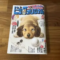ビッグコミックオリジナル　2025 8 20