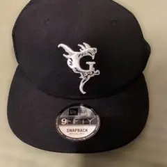 Item thumbnail for item 6d1f8118-14f7-4ee1-b601-5296420b53ac