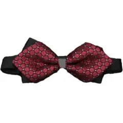 Item thumbnail for item 46b9cec9-46f7-48b7-a58b-d55b783e022a