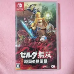 ゼルダ無双 厄災の黙示録 Nintendo Switch